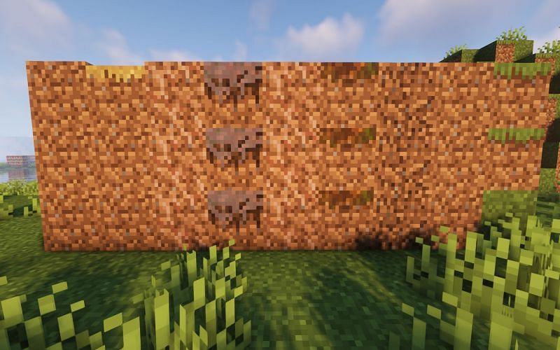 All dirt-type blocks (Image via Minecraft)