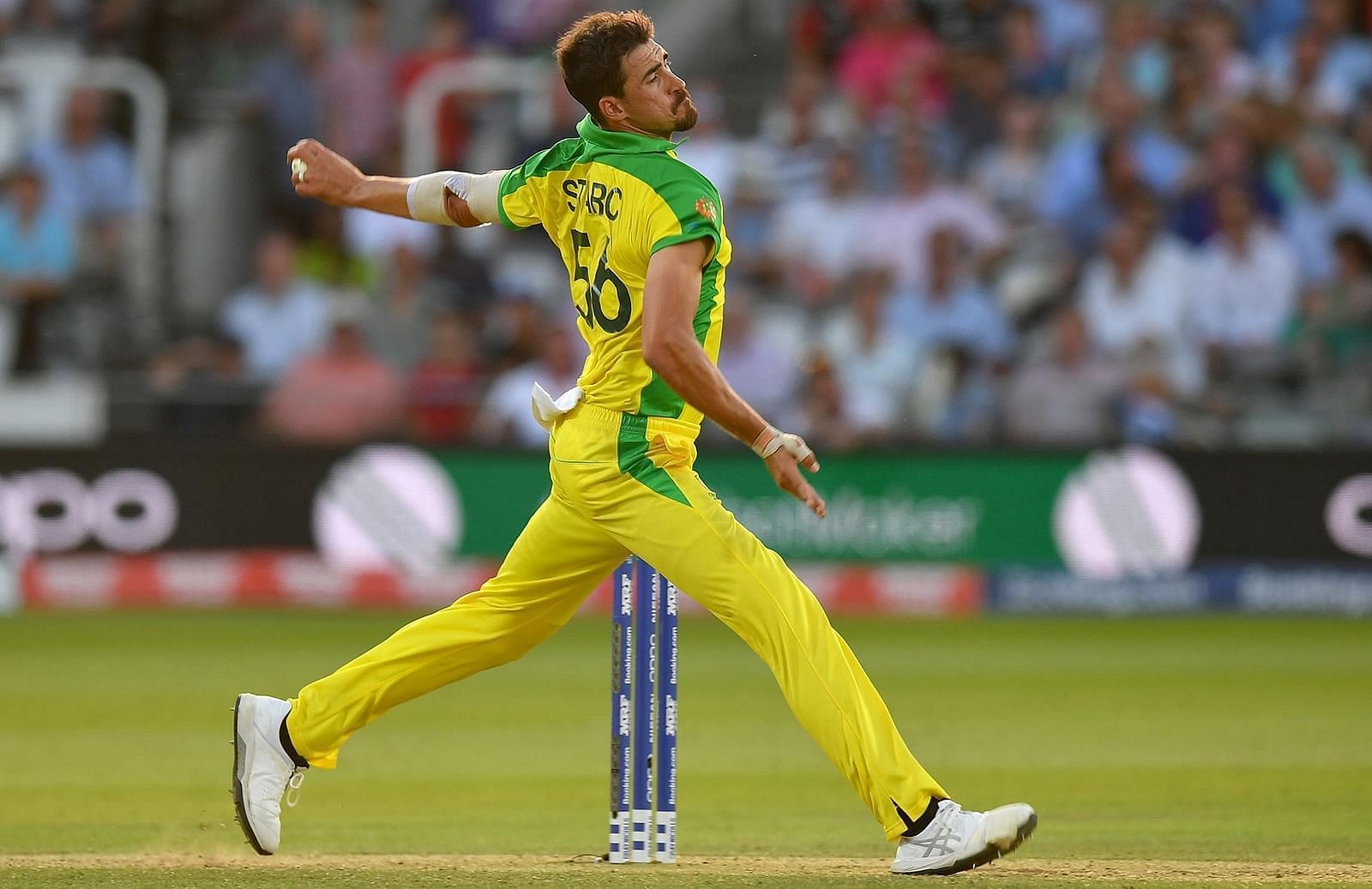 Mitchell Starc will look to be among the wickets in the T20 World Cup