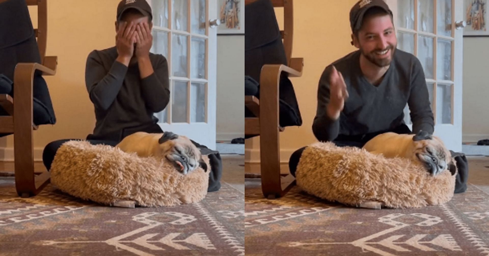 What is Bones day? Noodle the Pug TikTok videos win hearts online