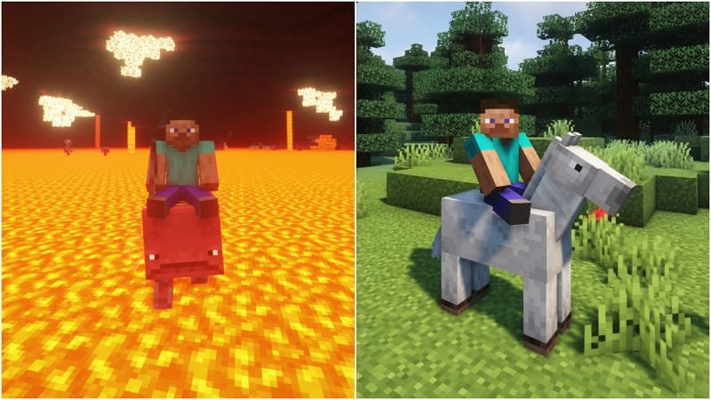 Steve riding the two mobs (Image via Minecraft)