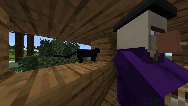 Witch and her cat (Image via Minecraft)