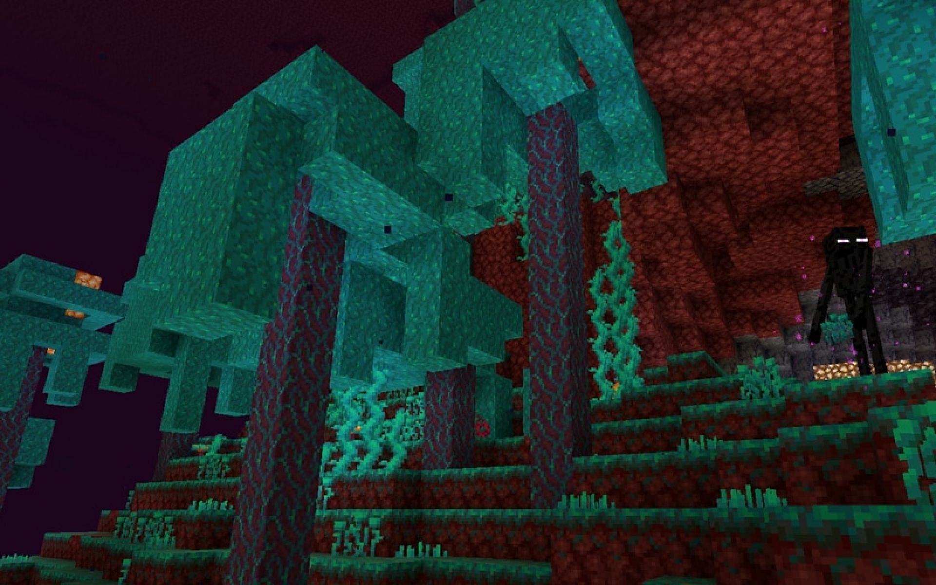 Искаженный гриб майнкрафт. Лес ЭНДЕРМЕНОВ Minecraft. Биом ЭНДЕРМЕНОВ. Что такое искаженный лес в игре майнкрафт. Биом майнкрафт с ЭНДЕРМЕНАМИ.