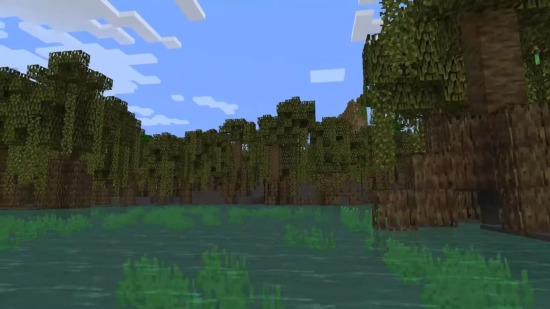 New mangrove swamp biome (Image via Minecraft)