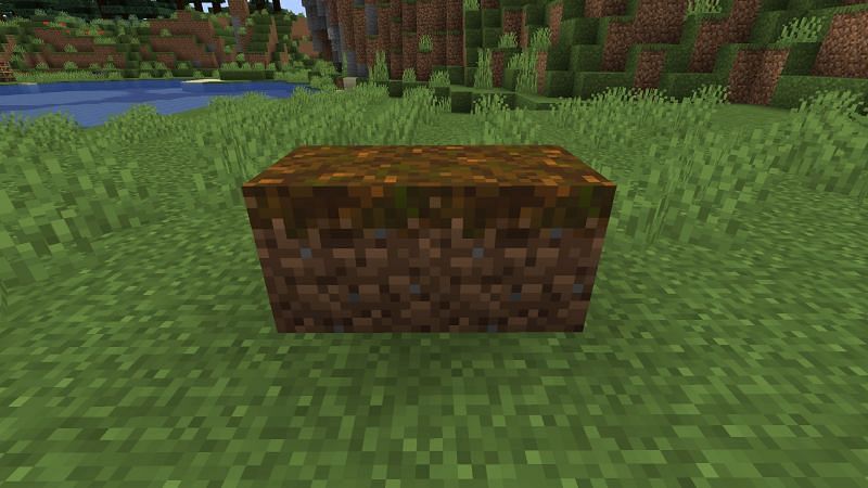 Podzol blocks (Image via Minecraft)