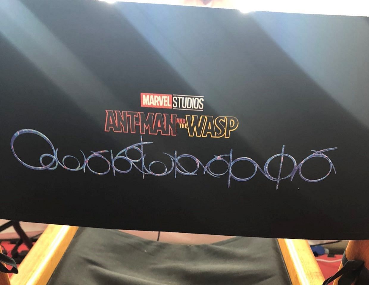 Ant-Man and The Wasp: Quantumania (Image via johanssoncomer/Twitter)