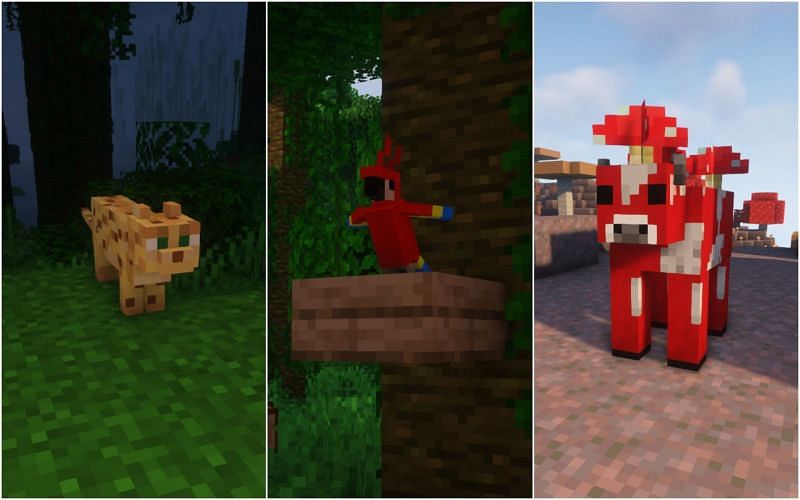 Biome-exclusive mobs in the game (Image via Minecraft)