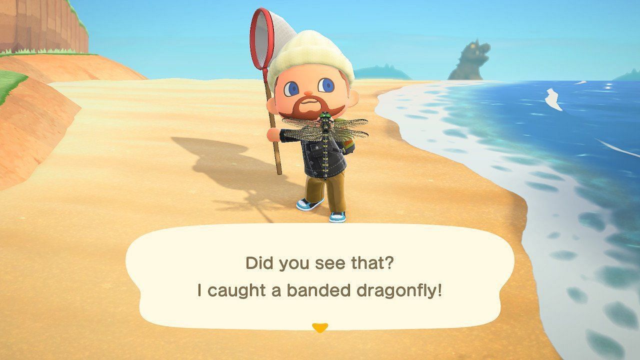 Banded Dragonfly in Animal Crossing (Image via Nintendo)