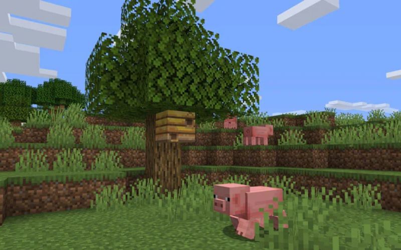 5 best Minecraft biomes for building homes