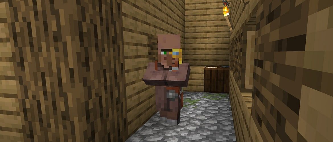 Cartographer in Minecraft (Image via Mojang)