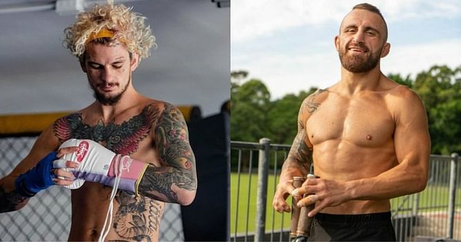 "He's gotta be the greatest ever" - Sean O'Malley believes Alexander Volkanovski is now the featherweight GOAT