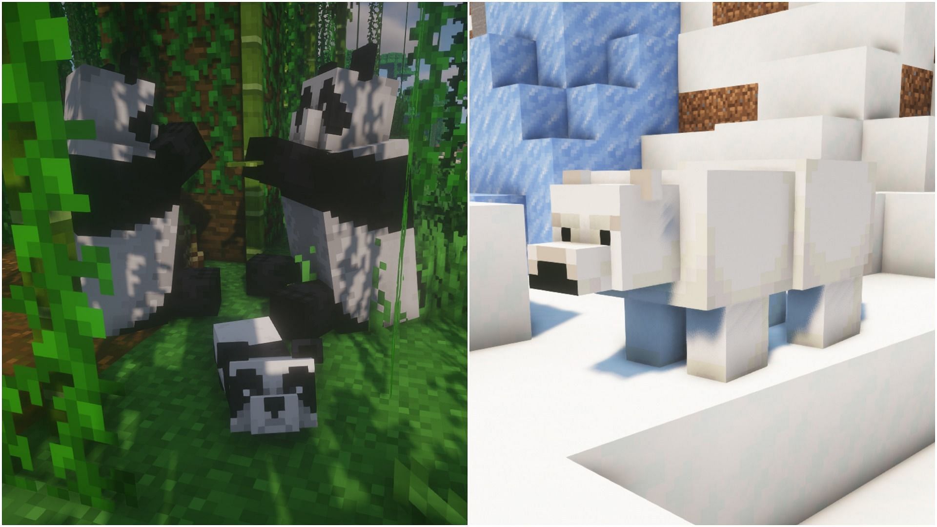 Pandas can breed (Image via Minecraft)