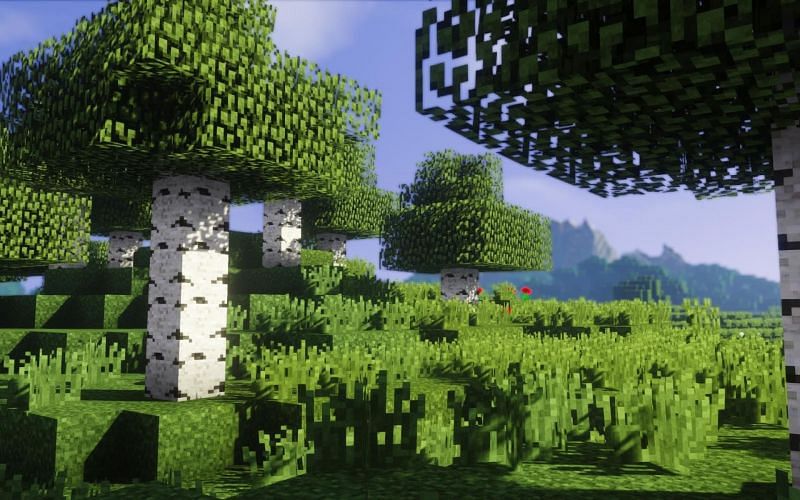Players can get wood by chopping trees in-game (Image via Minecraft)