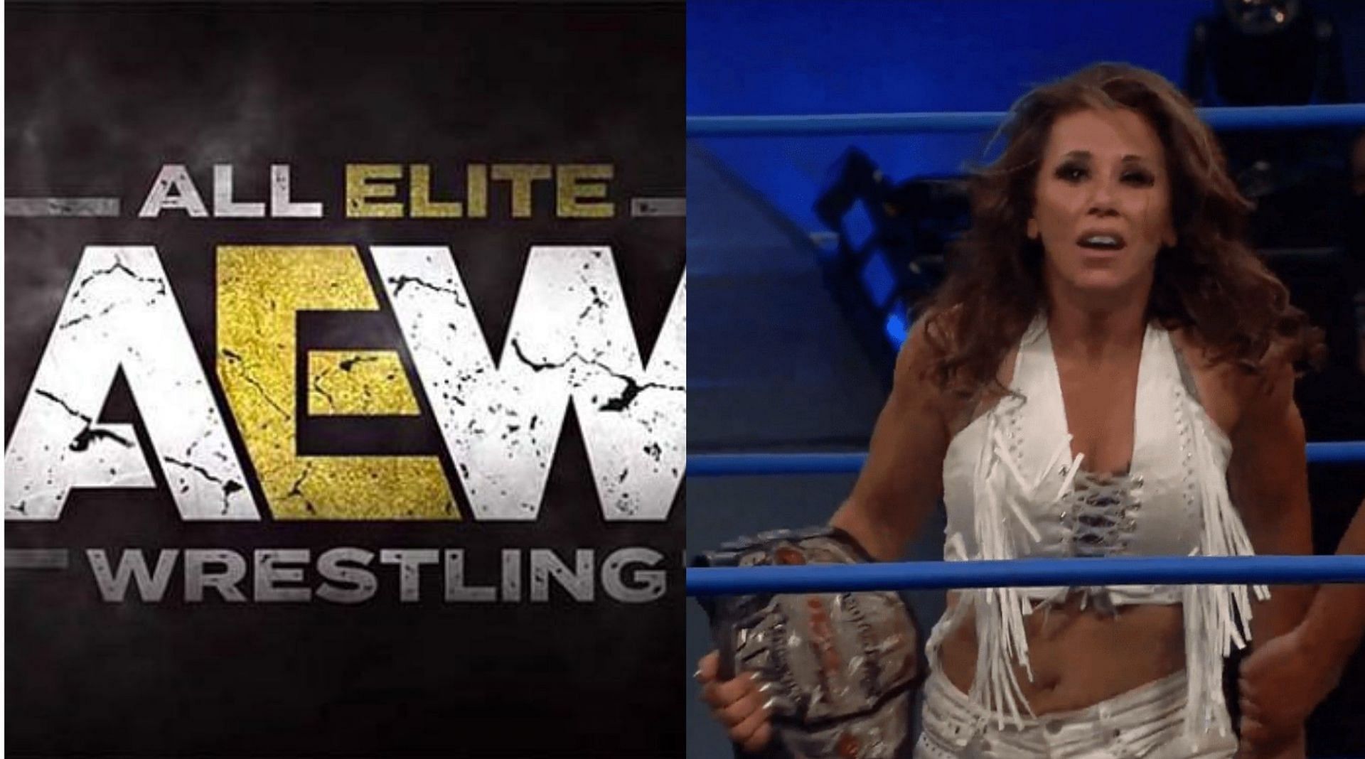 Mickie James is also a former WWE Superstar!