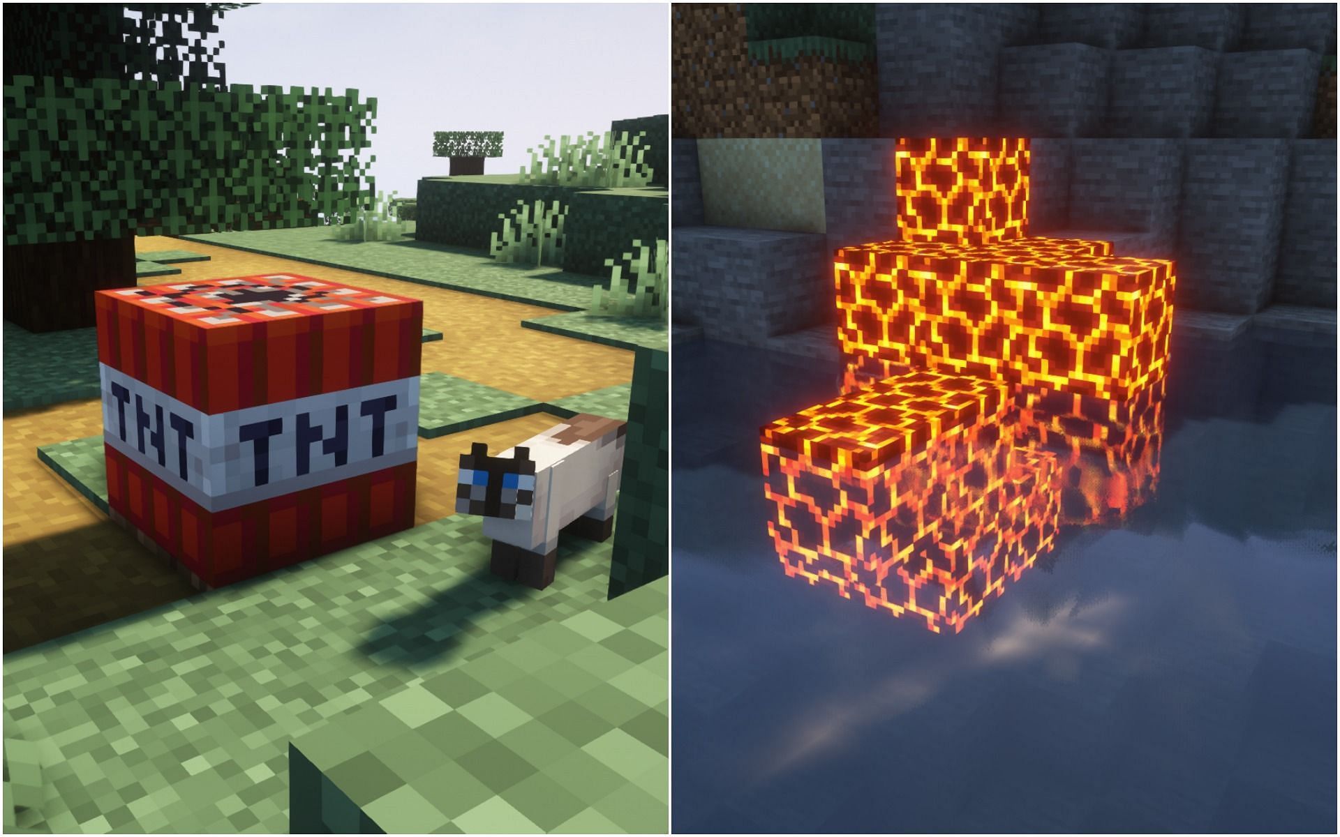 Dangerous blocks (Image via Minecraft)