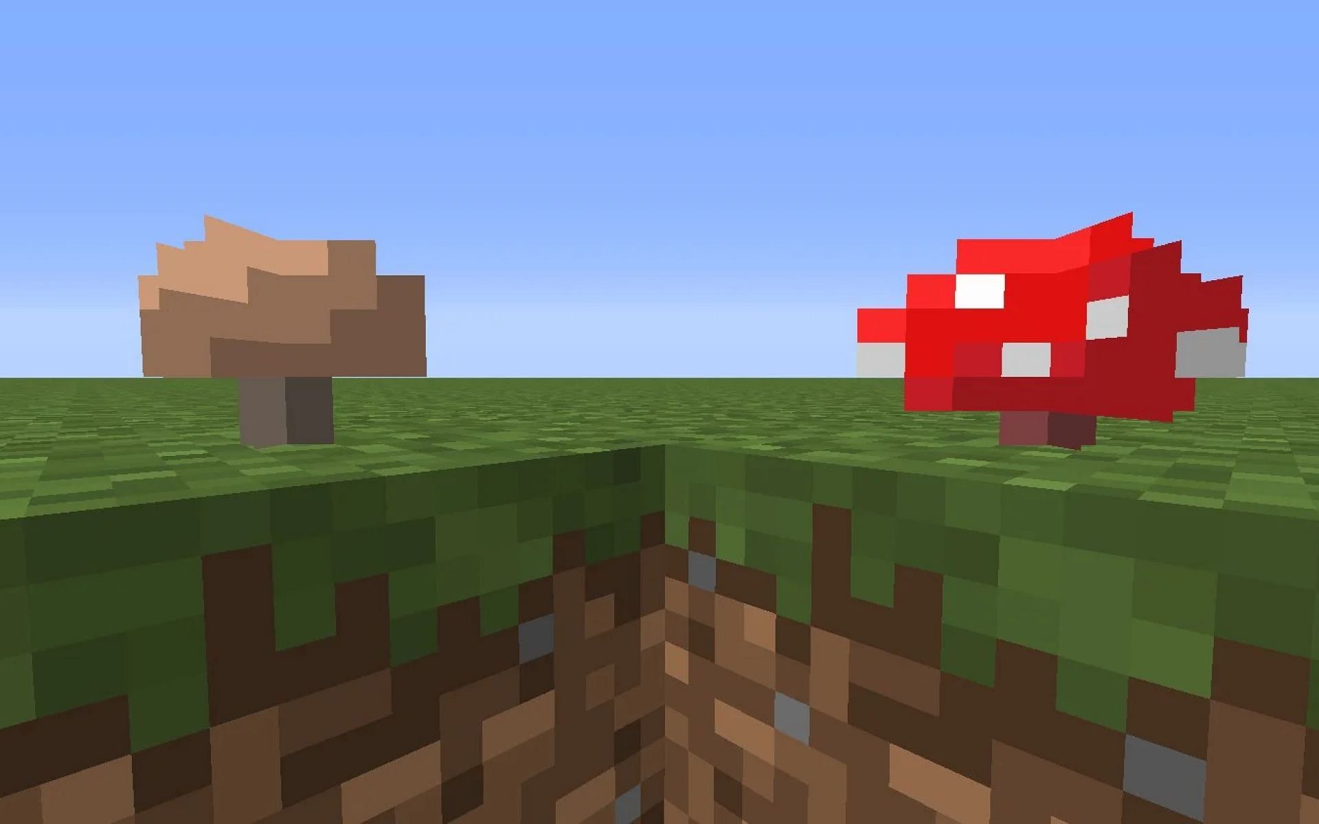 An image of a red and brown mushroom in-game. (Image via Minecraft)