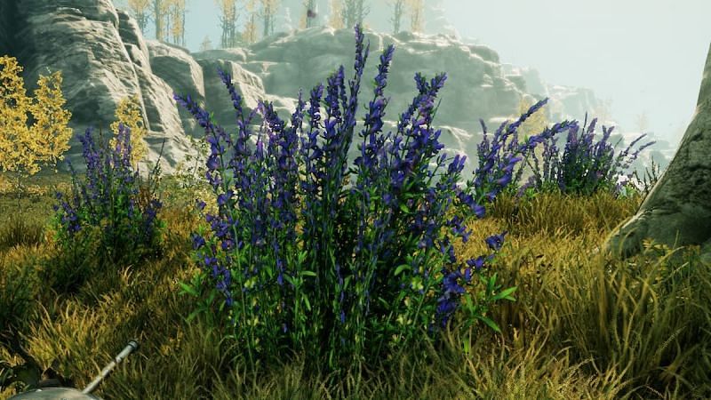 An herb plant in New World (Image via New World)
