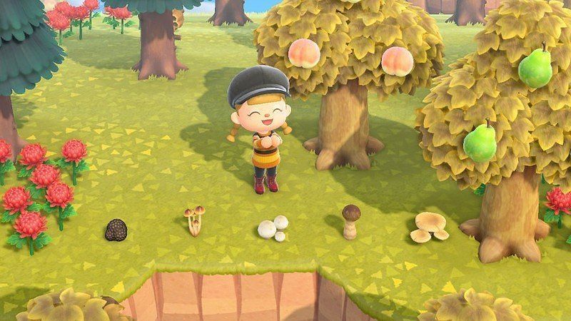 Mushrooms will begin showing up on November 1. (Image via Nintendo)