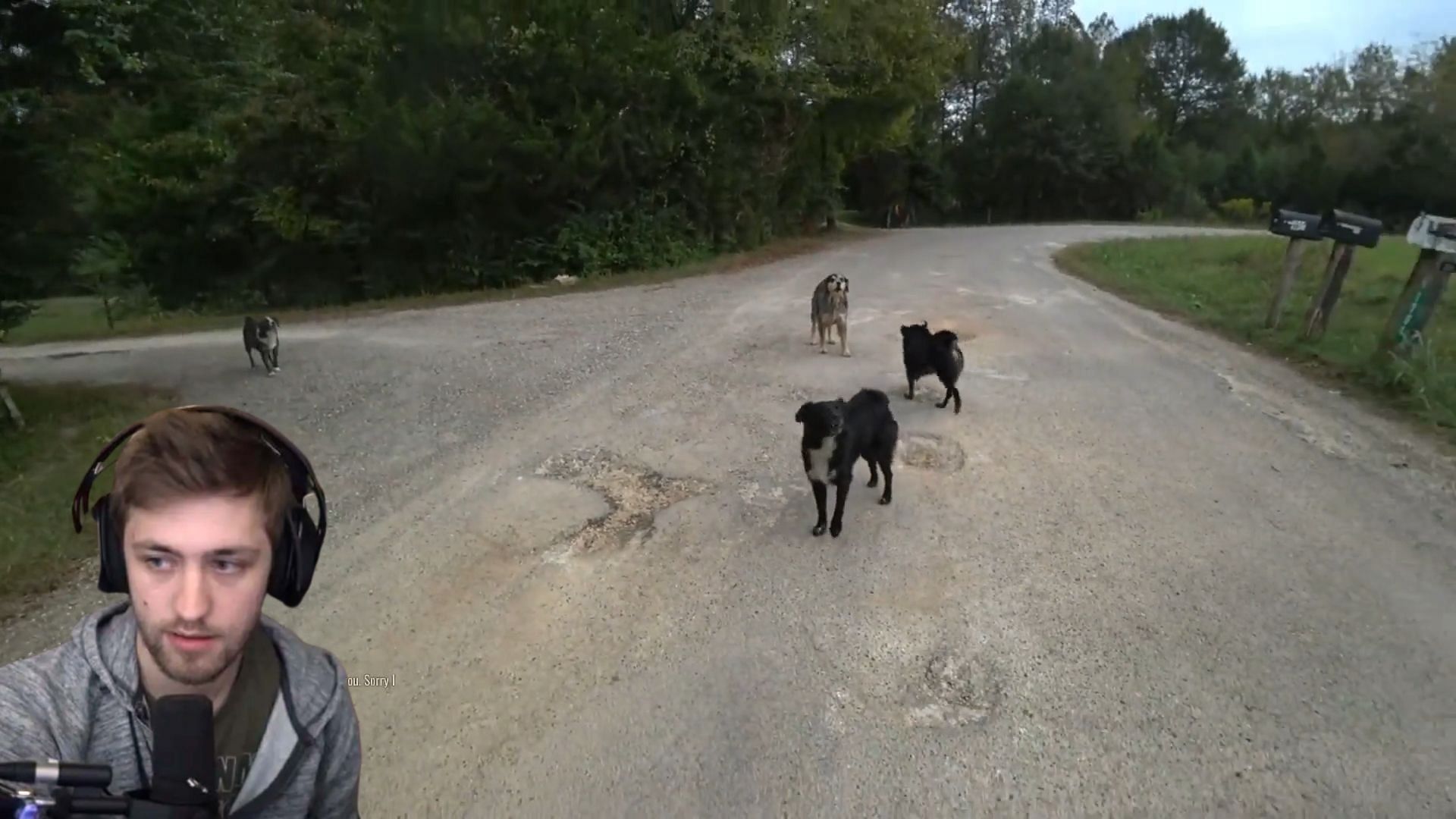 Sodapoppin was chased by dogs while live on stream (Image via Sportskeeda)