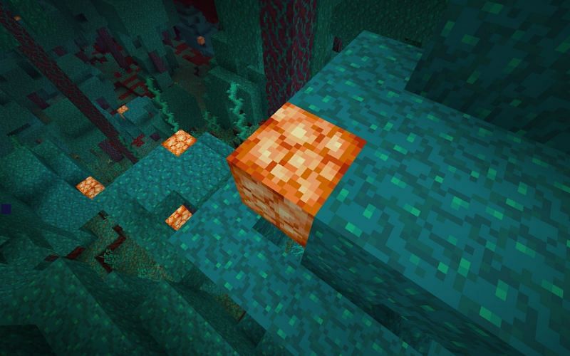 A shroomlight in a warped forest biome (Image via Mojang)