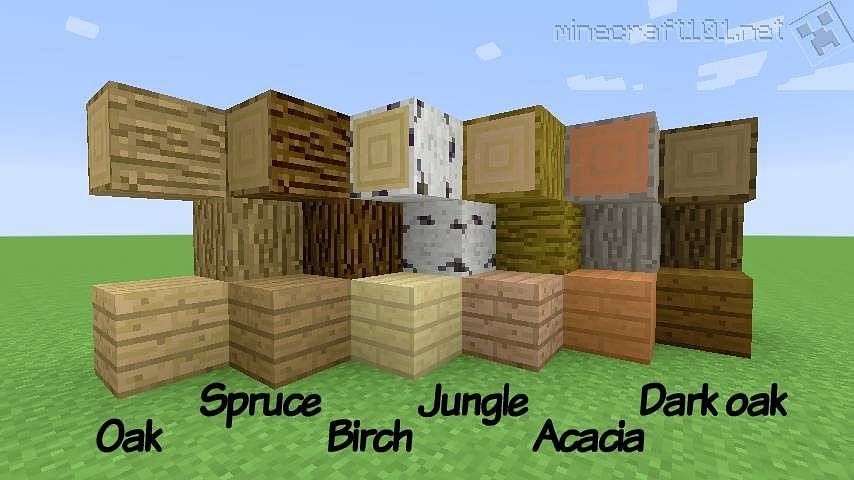 Every type of wood in Minecraft (Image via Minecraft 101/Minecraft)