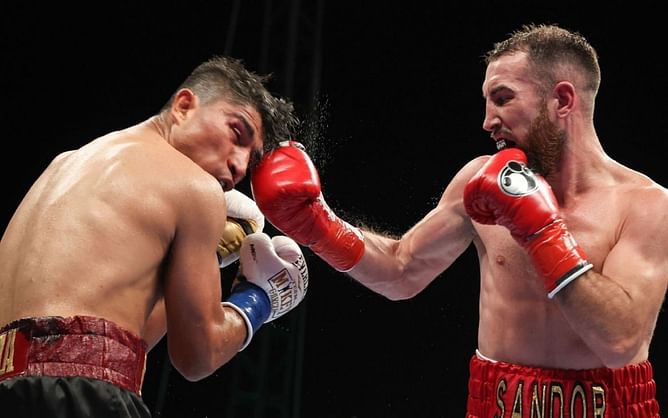Who won the fight between Mikey Garcia and Sandor Martin?