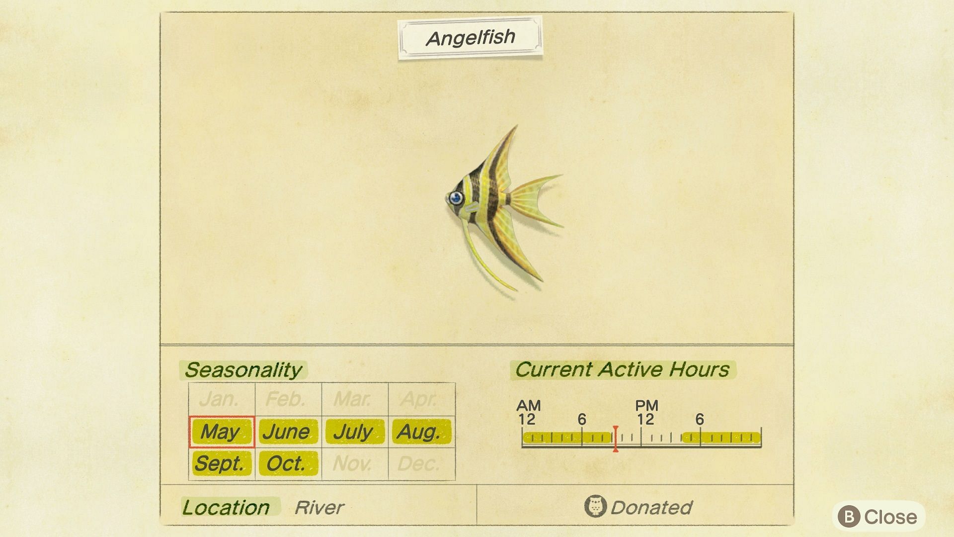 An angelfish is one of the many fish becoming available in November. Image via Nintendo