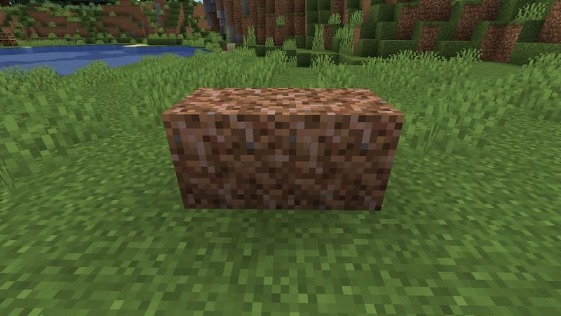 Rooted dirt (Image via Minecraft)