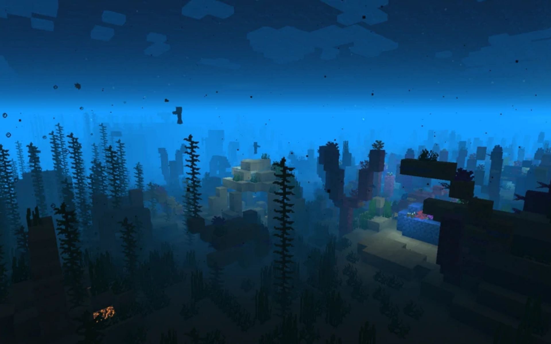 Kelp can grow in most ocean biomes (Image via Minecraft)