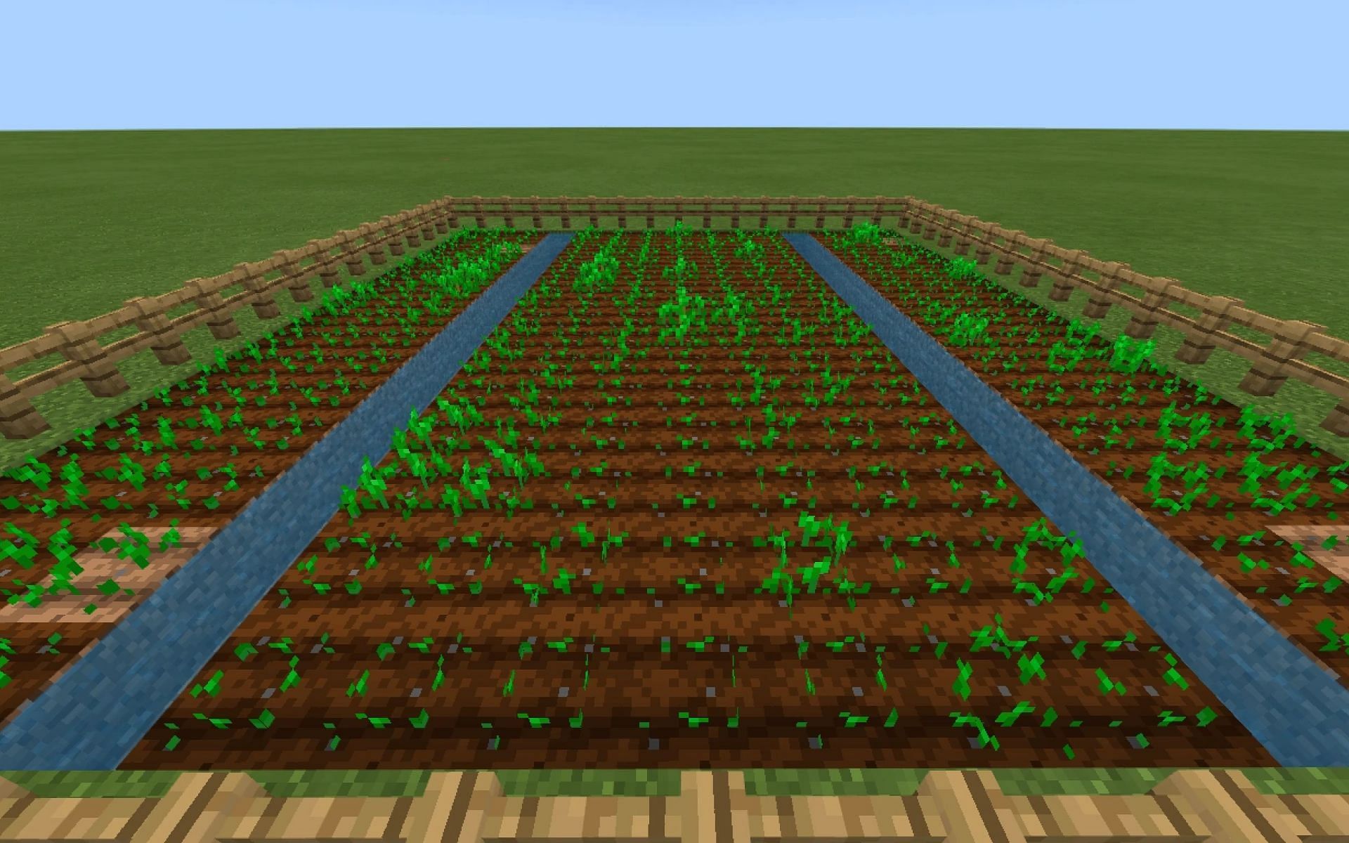 Una imagen de una granja de papas en el juego (Imagen a través de Minecraft)