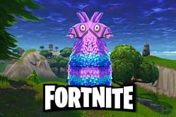 Fortnite Chapter 2 Season 8: YouTuber allegedly finds a rare two-headed Llama, and it's a sight to behold