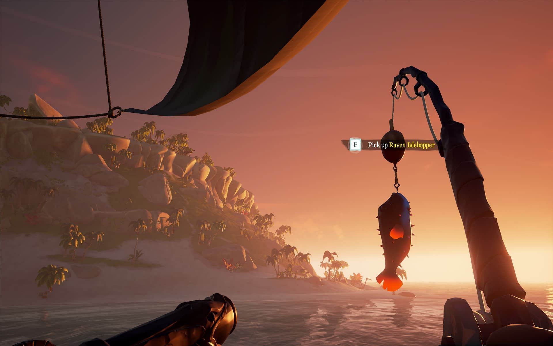 A player catching a Raven Islehopper in Sea of Thieves. (Image via Rare)