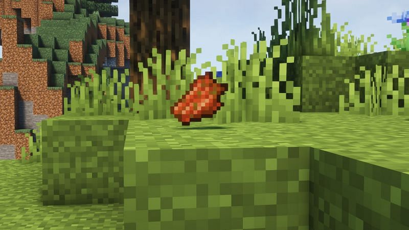 A rotten flesh (Image via Minecraft)