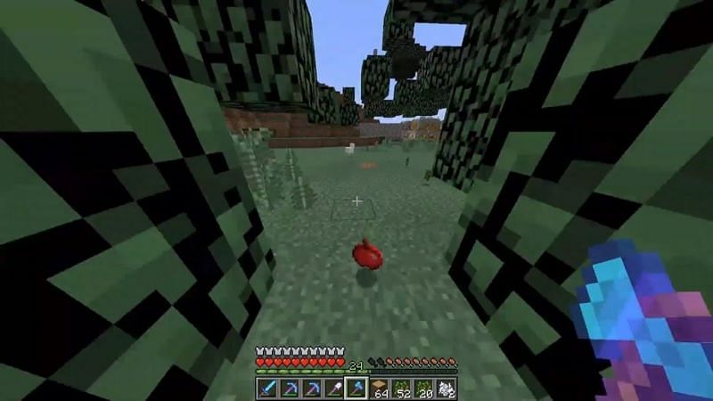 Apples don&#039;t have a huge range of uses, but they serve their primary purposes (Image via Mojang)
