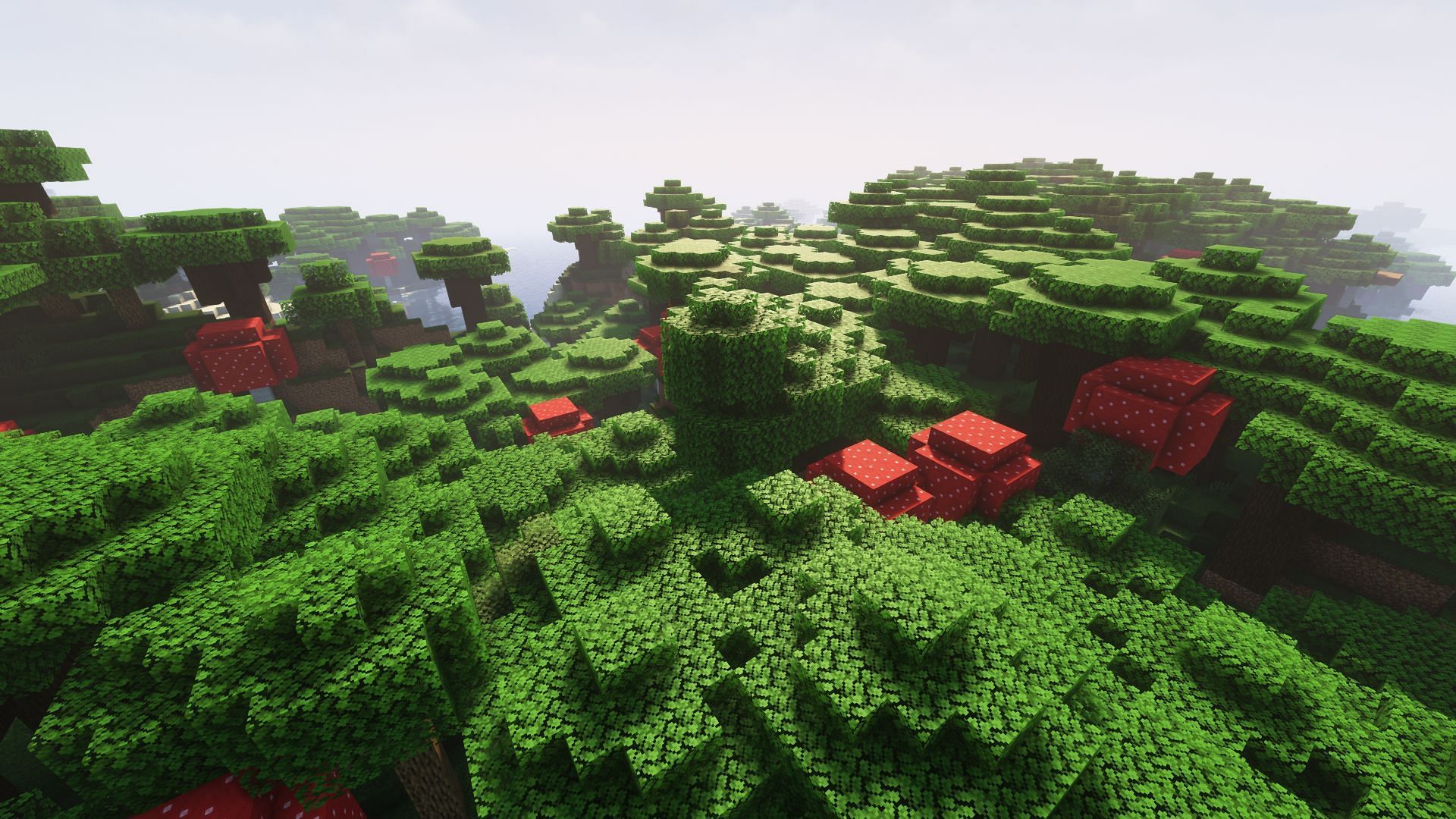 Dark oak forest (Image via Minecraft)