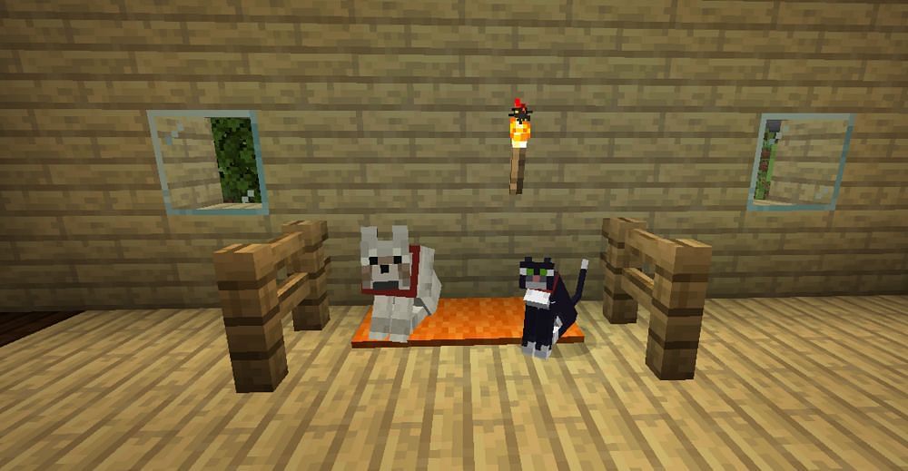 A wolf and a cat in Minecraft (Image via Minecraft Wiki)