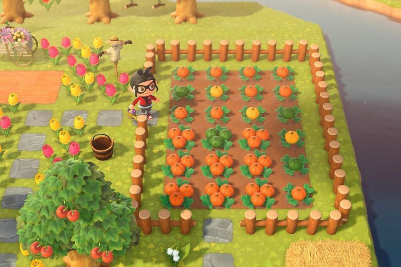 Pumpkins and candies are important for crafting Halloween themed items in Animal Crossing (Image via Nintendo)