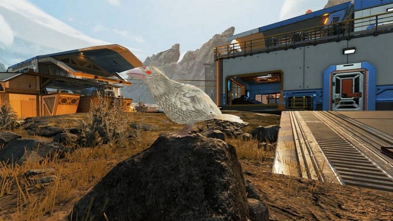 How to find white ravens in Apex Legends (Image via Respawn Entertainment)