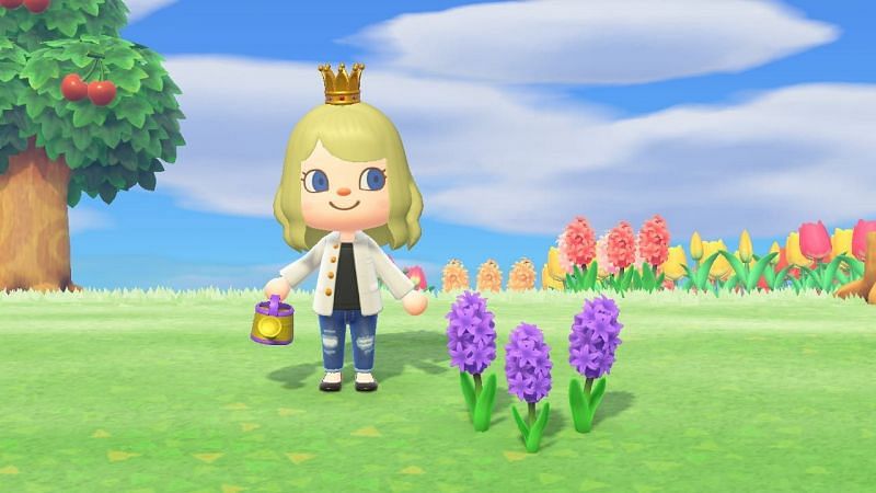 Purple hyacinths are some of the rarest flowers in Animal Crossing (Image via Nintendo)