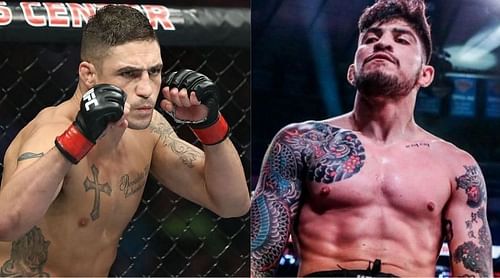 Diego Sanchez (left) and Dillon Danis (right)