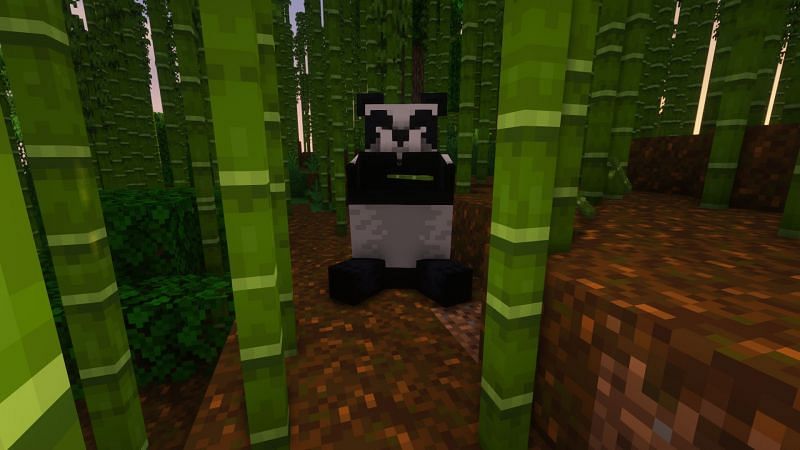 Top 5 biome-exclusive animals in Minecraft