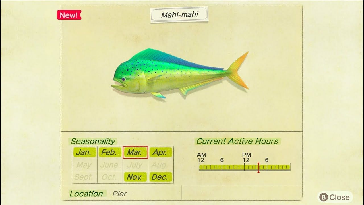 Mahi-mahi in Animal Crossing (Image via Nintendo)