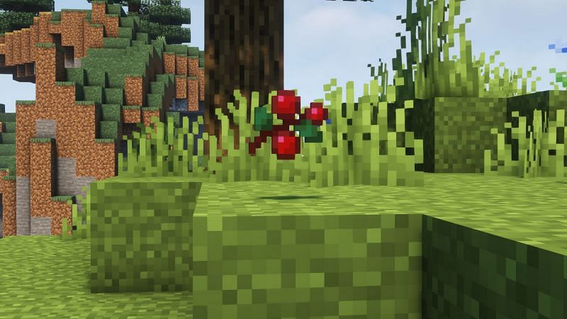 Sweet berries (Image via Minecraft)