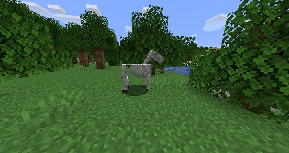 The skeleton horse (Image via Minecraft Wiki)