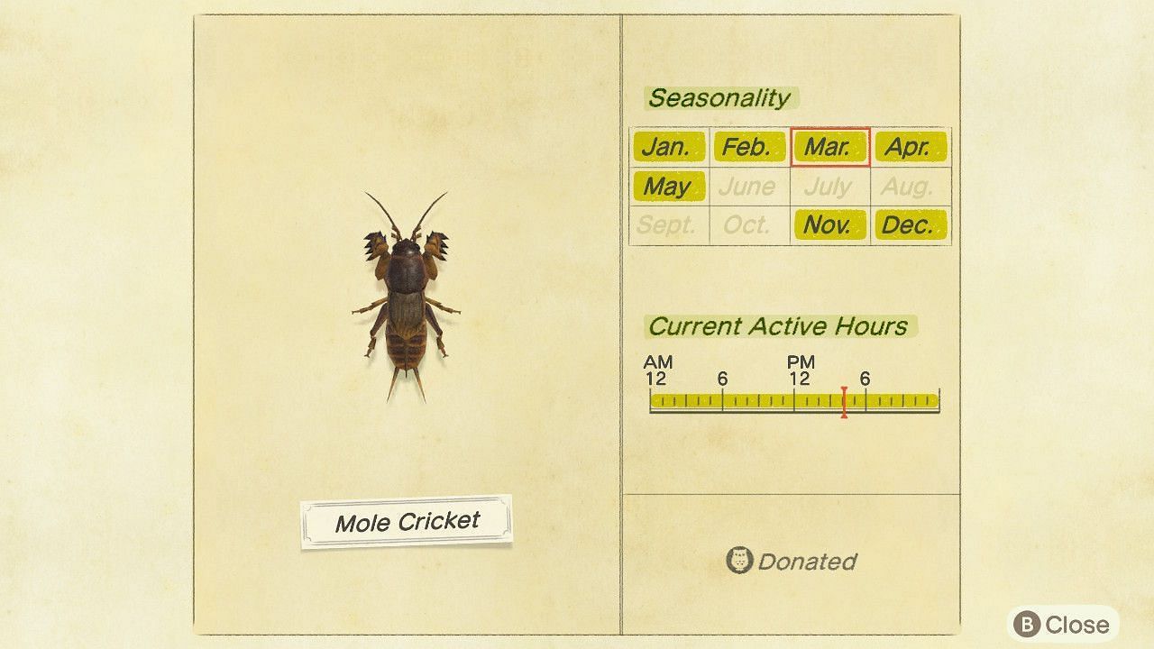 Mole Cricket in Animal Crossing (Image via Nintendo)