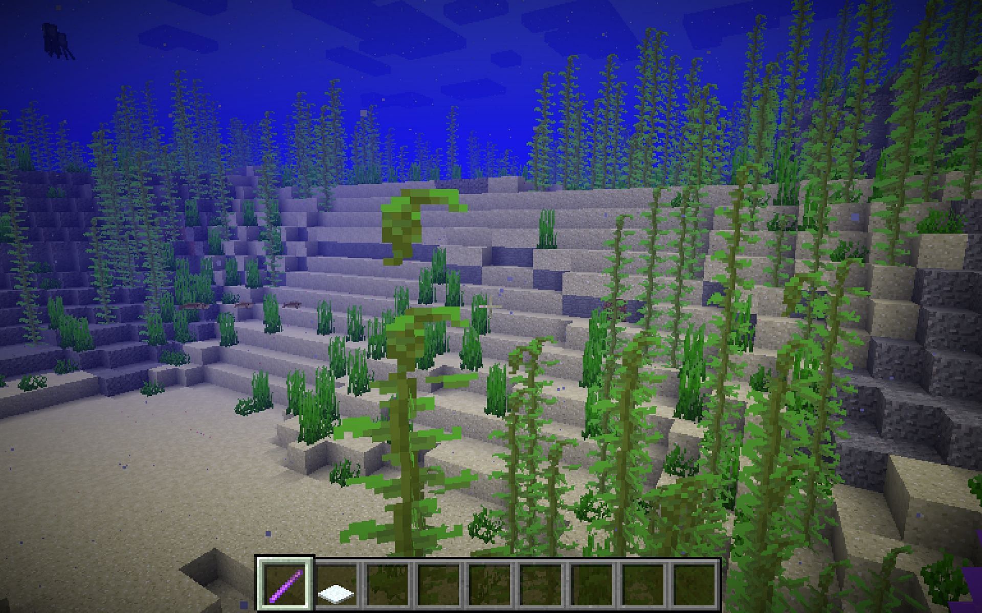 A kelp forest near the edge of an ocean (Image via Minecraft)
