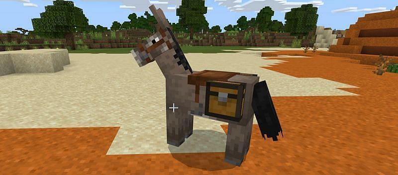 A donkey with a chest (Image via Minecraft)