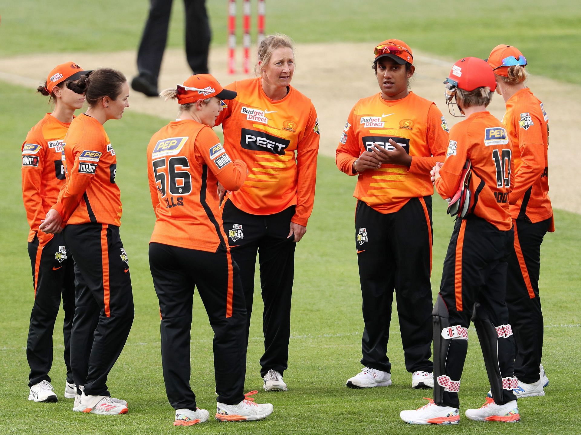 Womens Big Bash League 2021 Match 16 Perth Scorchers Women vs Sydney Thunder Women