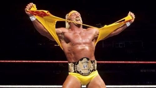 Hulk Hogan is one of the biggest stars in pro wrestling history