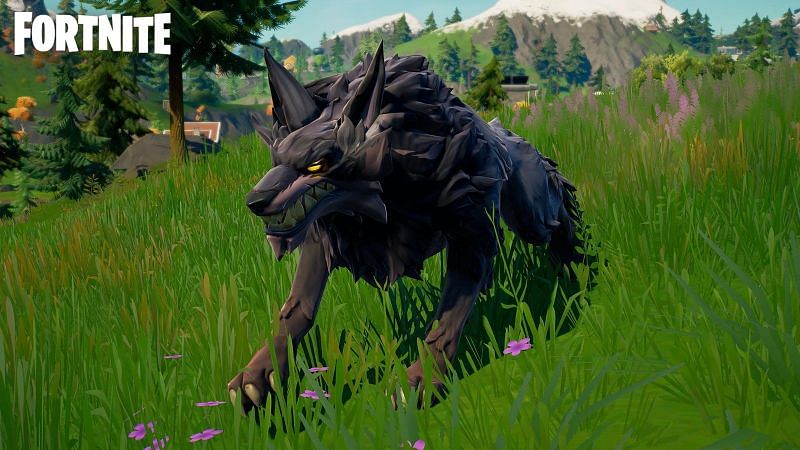 Wolves are common wildlife in Fortnite but are fairly dangerous. (Image via Epic Games)