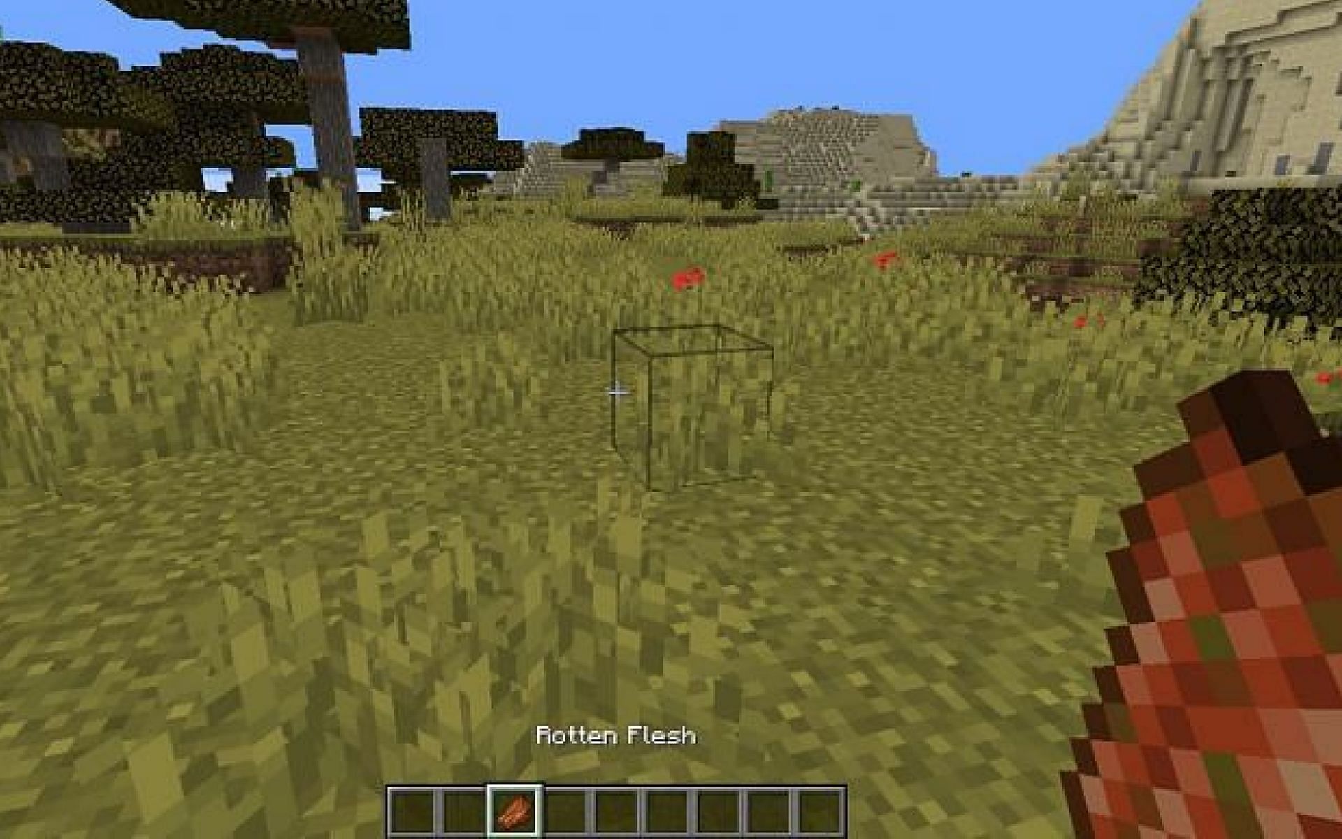 An image of a player who is about to eat rotten flesh (Image via Minecraft)